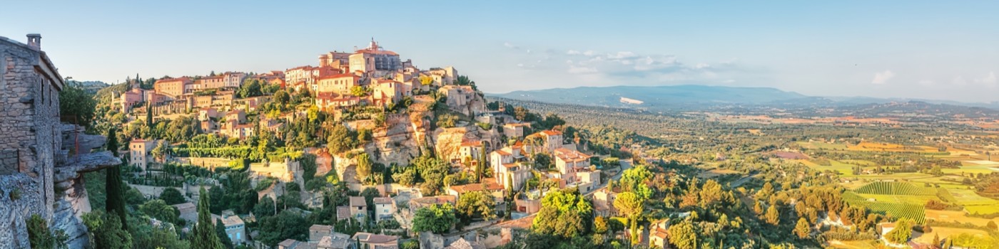 Contact Card Background